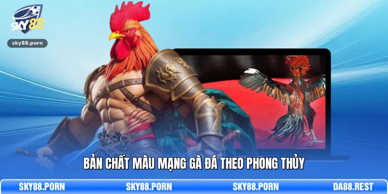 Bản chất màu mạng gà đá theo phong thủy