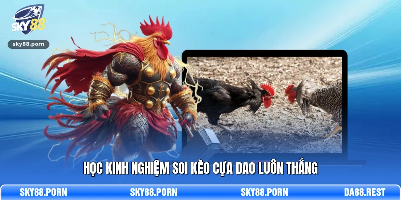 Đá Gà Cựa Dao - Sảnh Cá Cược Kịch Tính Và Hấp Dẫn 2026 4 Học kinh nghiệm soi kèo cựa dao luôn thắng
