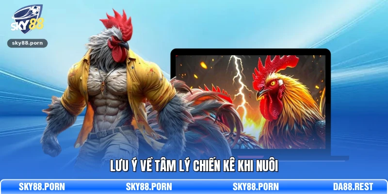 Lưu ý về tâm lý chiến kê khi nuôi