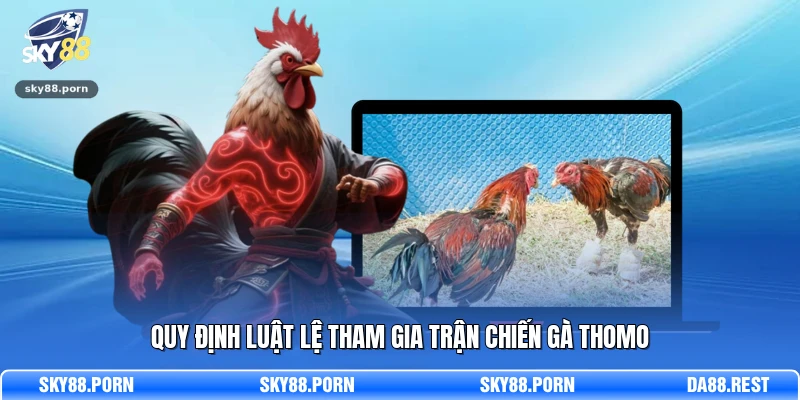 Quy định luật lệ tham gia trận chiến gà Thomo